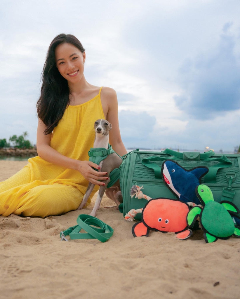 Beco Dog Toy Shark | Floats Squeaks Sustainable Material - Dog Toys