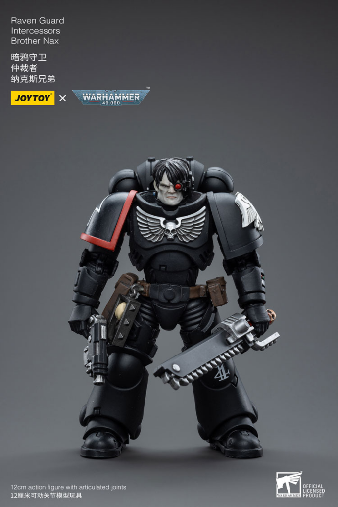 Joytoy Warhammer 40K Raven Guard Intercessors Brother Nax Warhammer