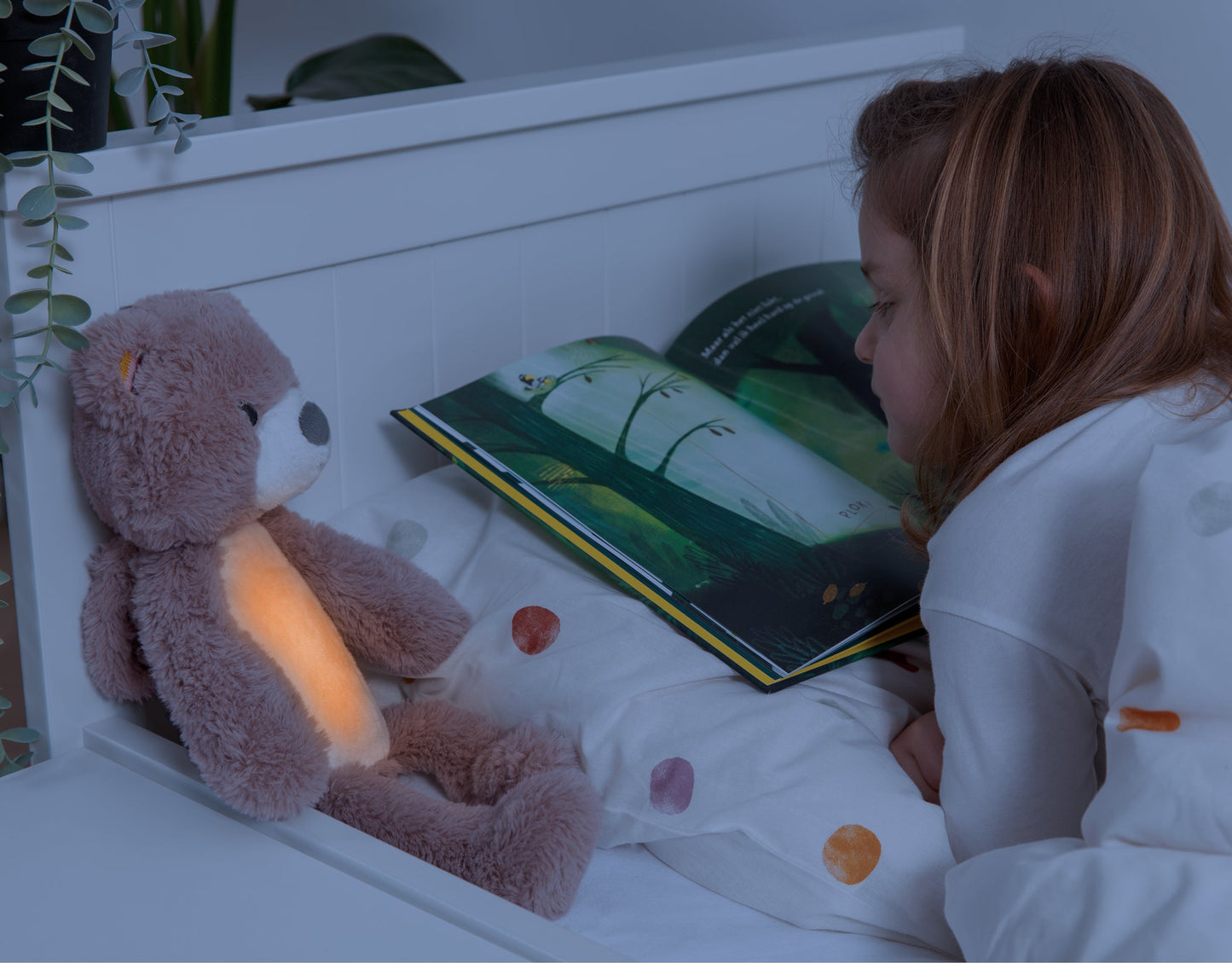 Sleeptrainer with Nightlight and Sound Machine - Brody the Bear