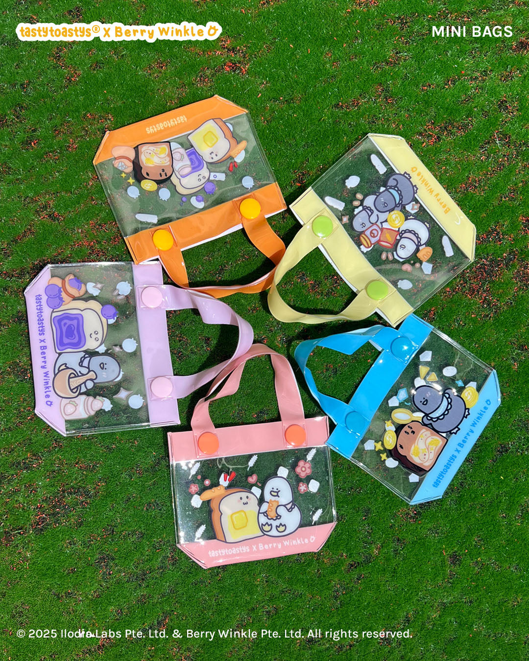 Bird Bois & Toastys Collab: Mini Blind Box and Bags!