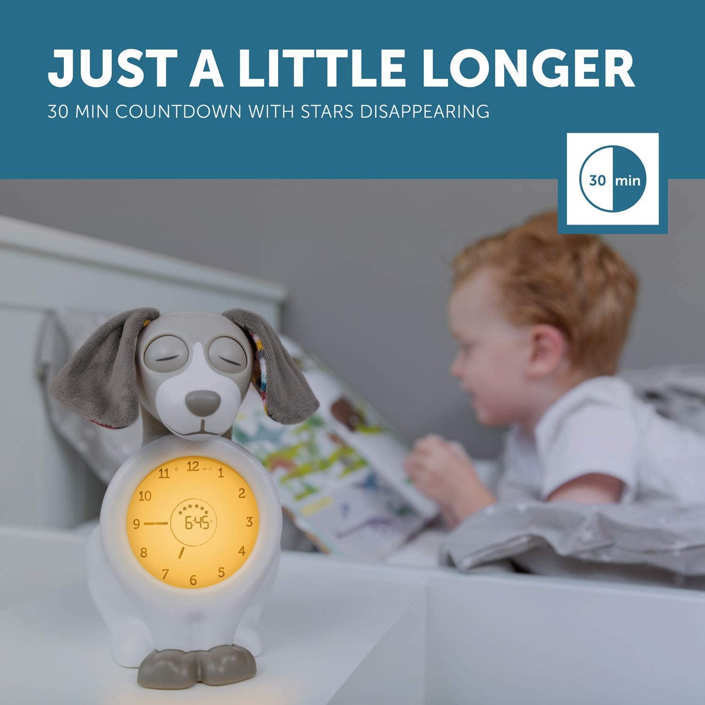 Sleep Trainer with Nightlight - Davy the Dog