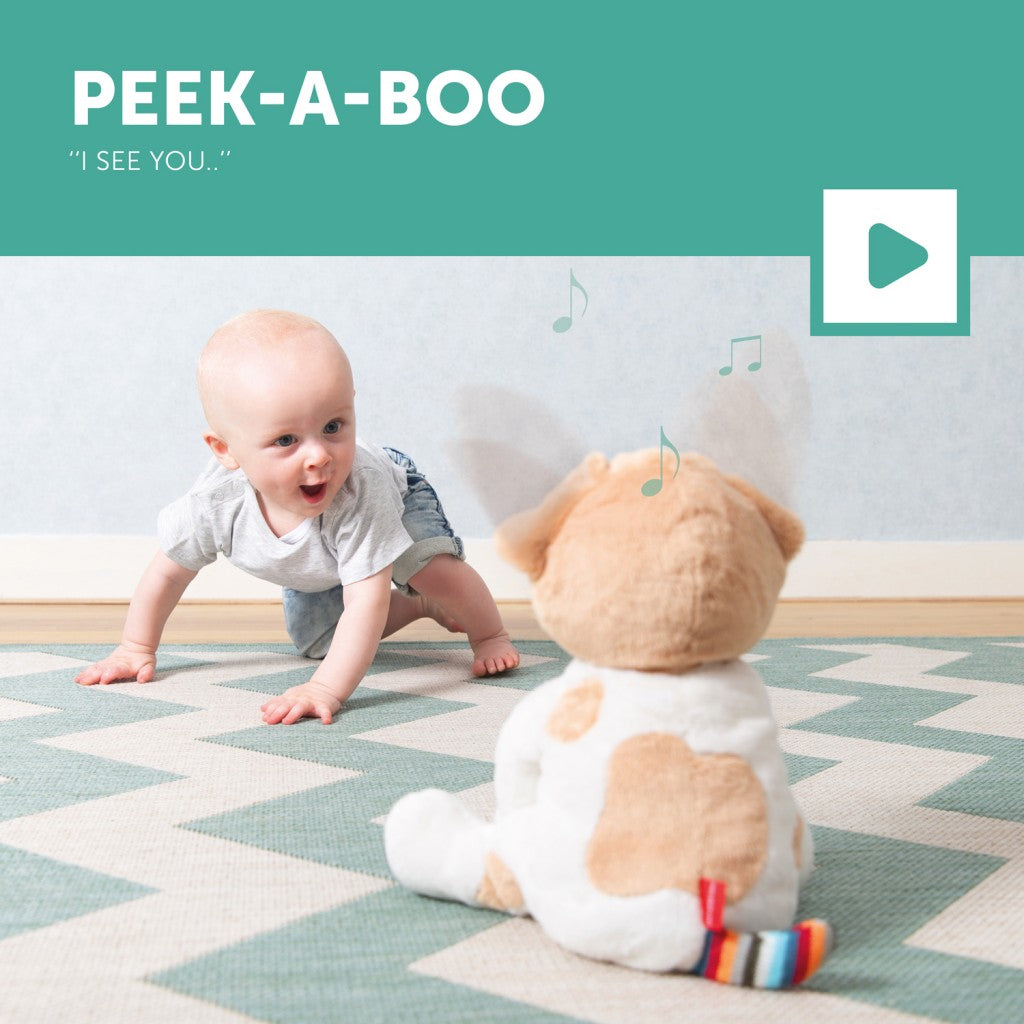 Interactive Soft Toy - Danny the Dog