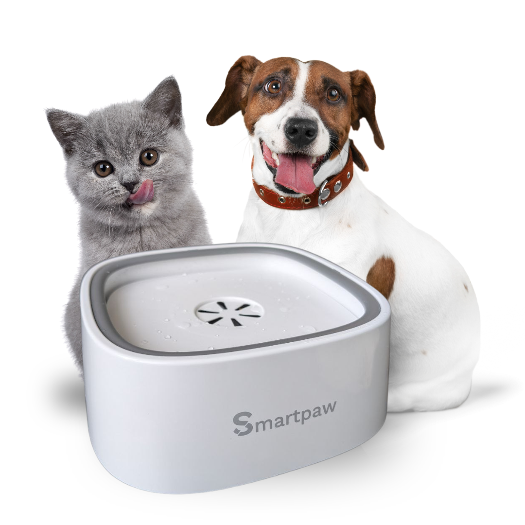 SmartpawLite No Splash Pet Water Bowl 2.0