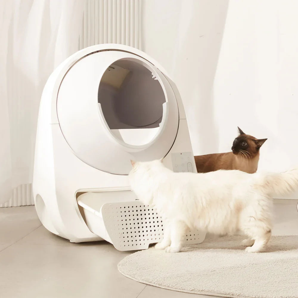 CATLINK AI 2.4/5GHz Camera Cat Litter Box - Scooper Pro Ultra