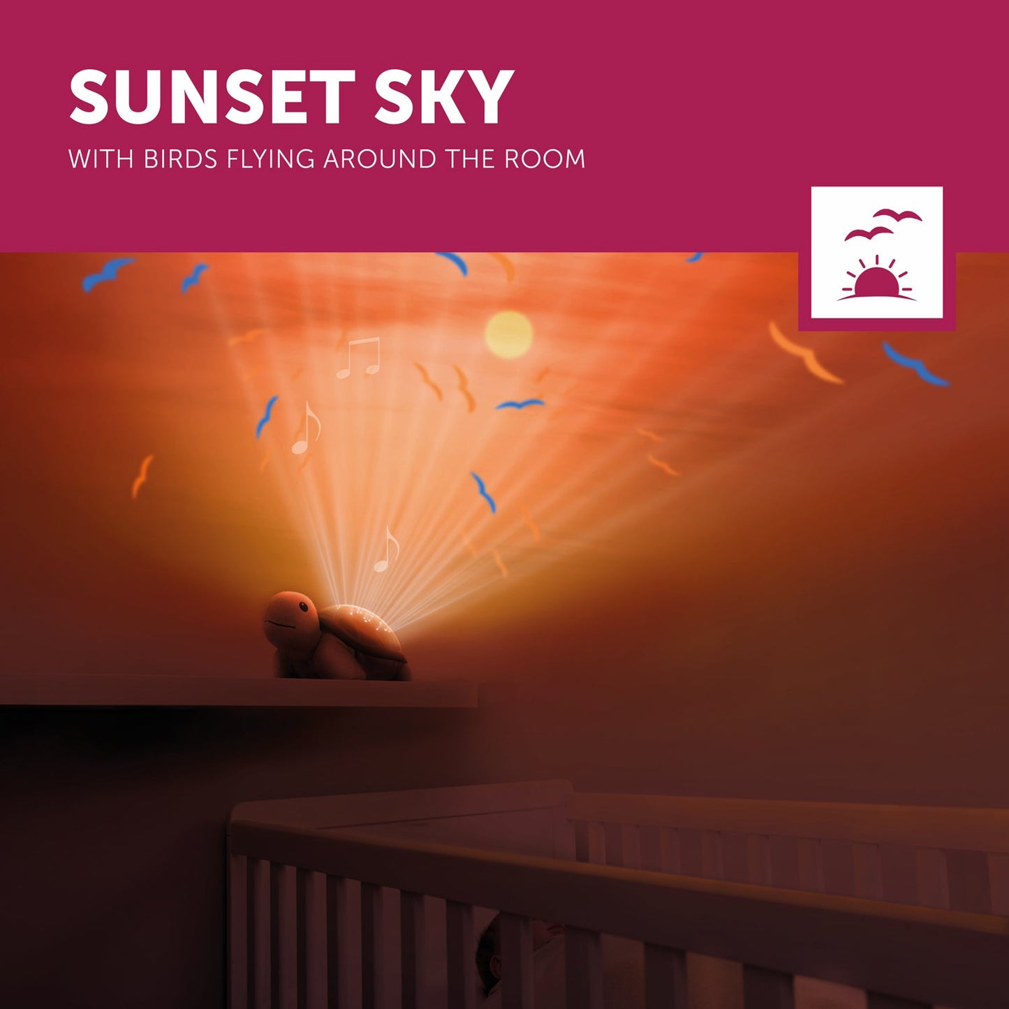 Sunset Sky Projector - Tim / Henry / Shally