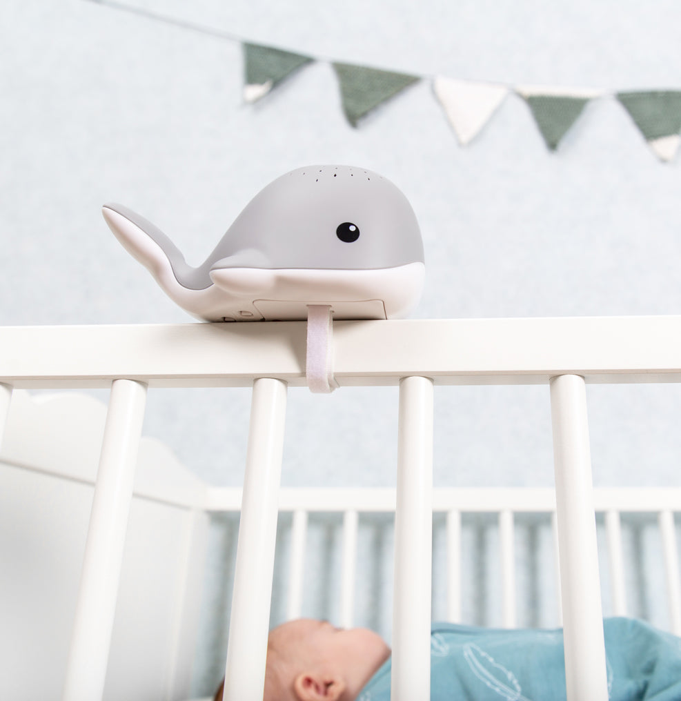 Light Projector - Wally the Whale
