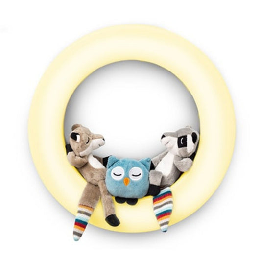 Multi Colour Wall Nightlight - Fay, Rex & Otis