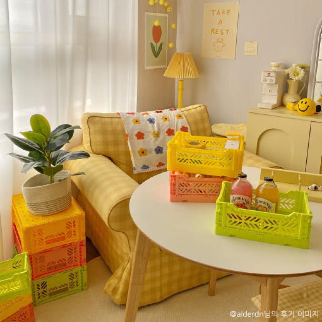 Aykasa Folding Minibox Colour Crate - Storage