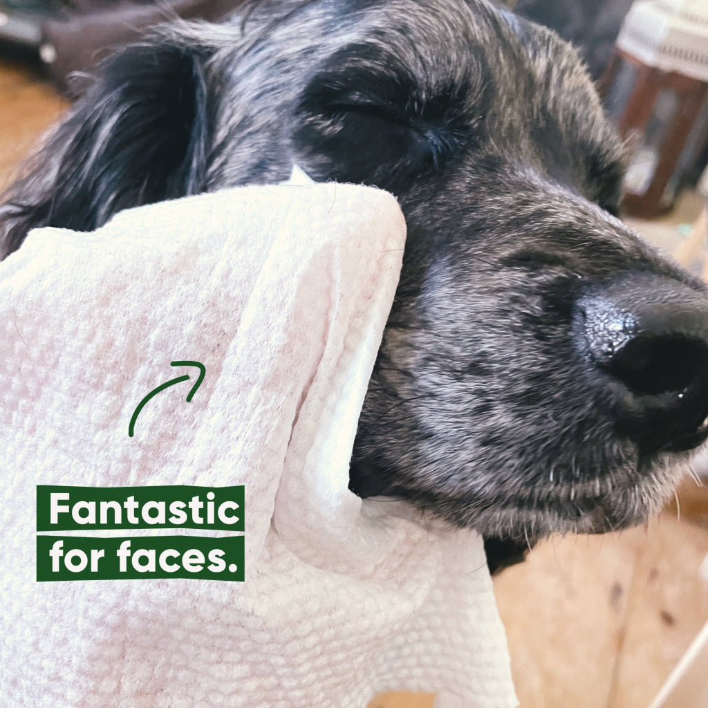 Beco Bamboo Dog Wipes Coconut Scented