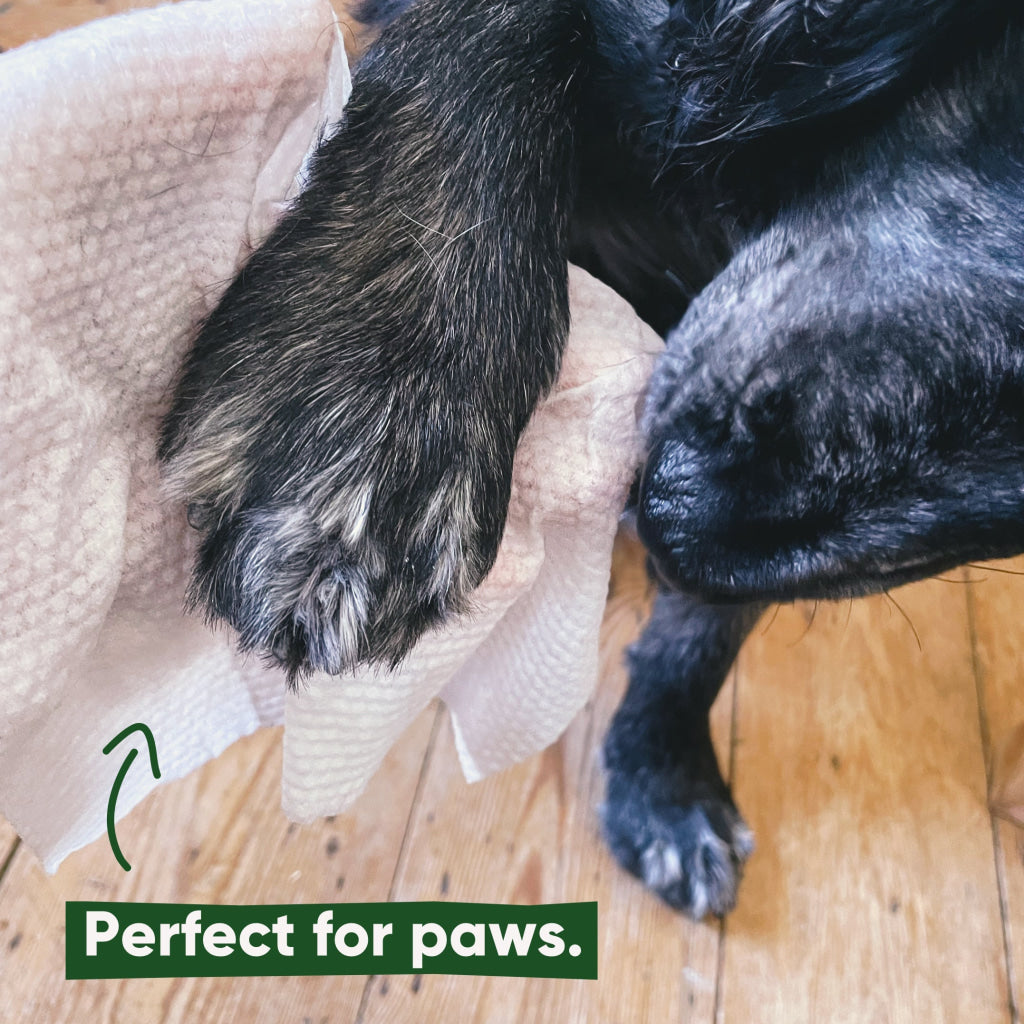 Beco Bamboo Dog Wipes Coconut Scented
