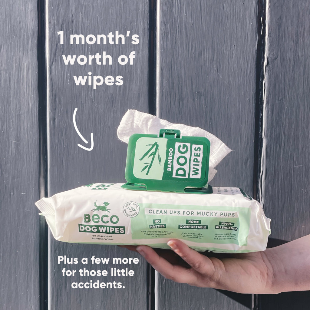 Beco Bamboo Dog Wipes Unscented