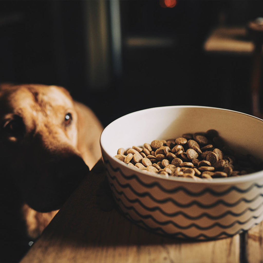 Beco Bamboo Pet Bowl Coastal Grey