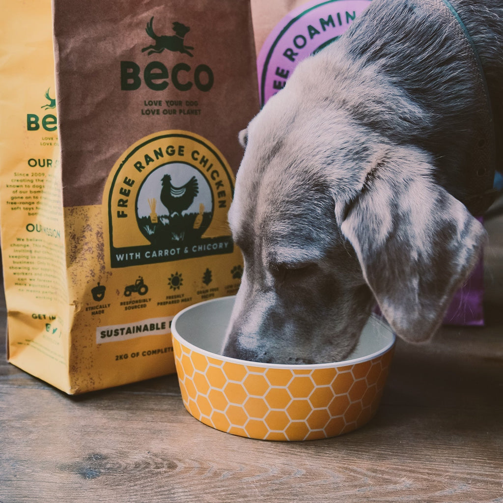Beco Bamboo Pet Bowl Honeycomb