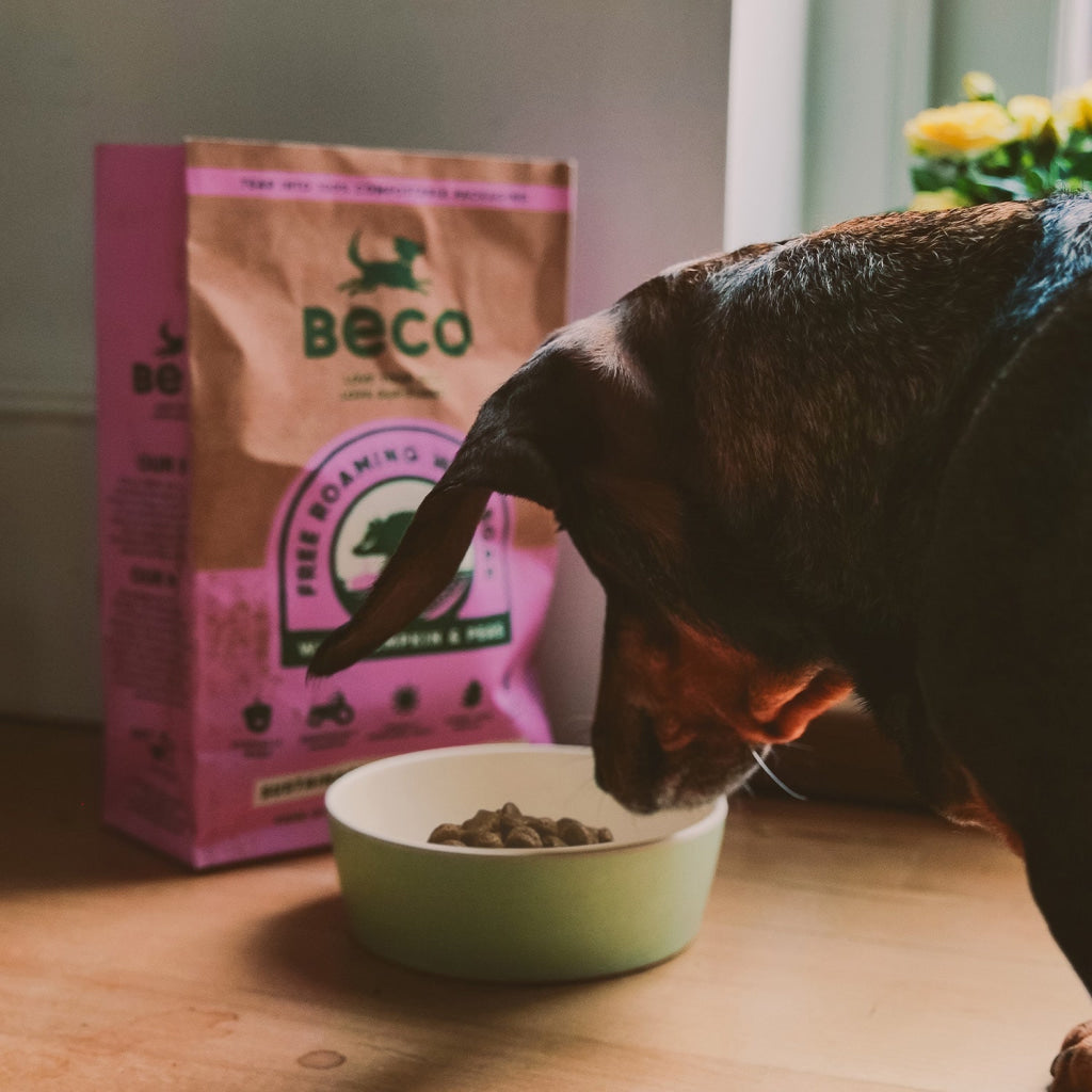 Beco Bamboo Pet Bowl Midnight Blue