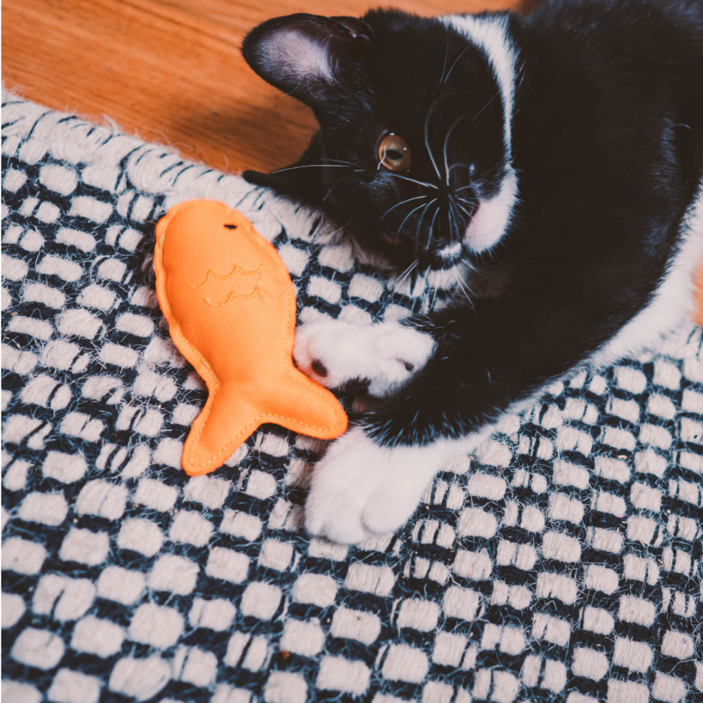 Beco Catnip Toy Fish - Cat Toys