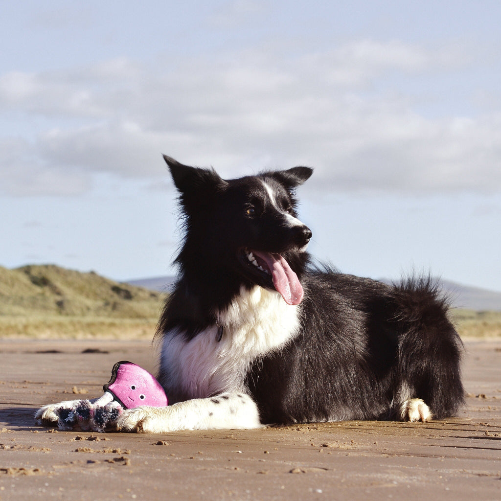 Beco Dog Toy Octopus | Floats Squeaks Sustainable Material - Dog Toys