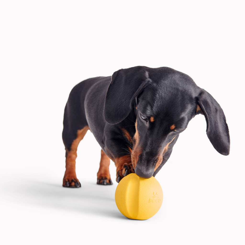 Beco Fetch Ball - Dog Toys