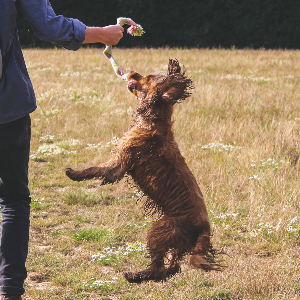 Beco Hemp Squeaky Rope - Dog Toys