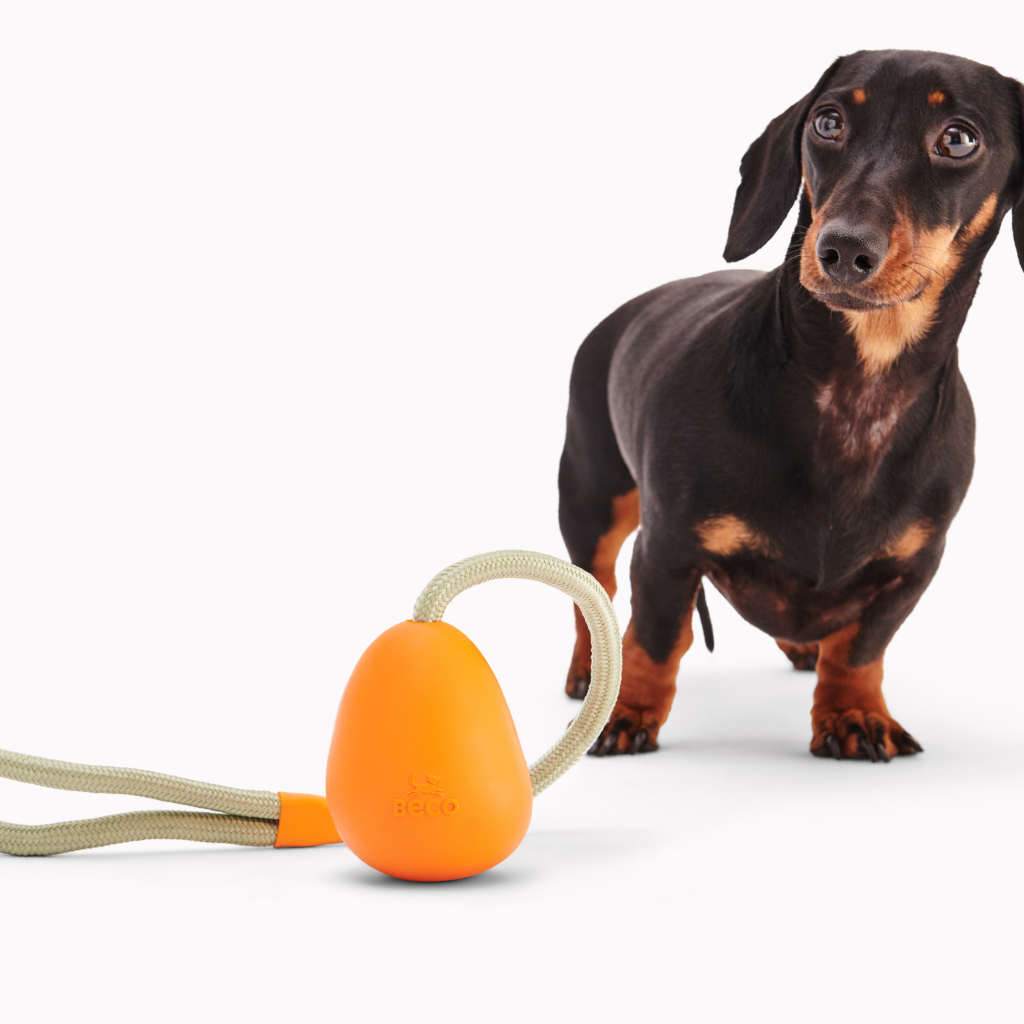 Beco Slinger Pebble Toy - Dog Toys