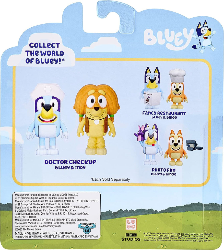 Bluey Doctor Checkup