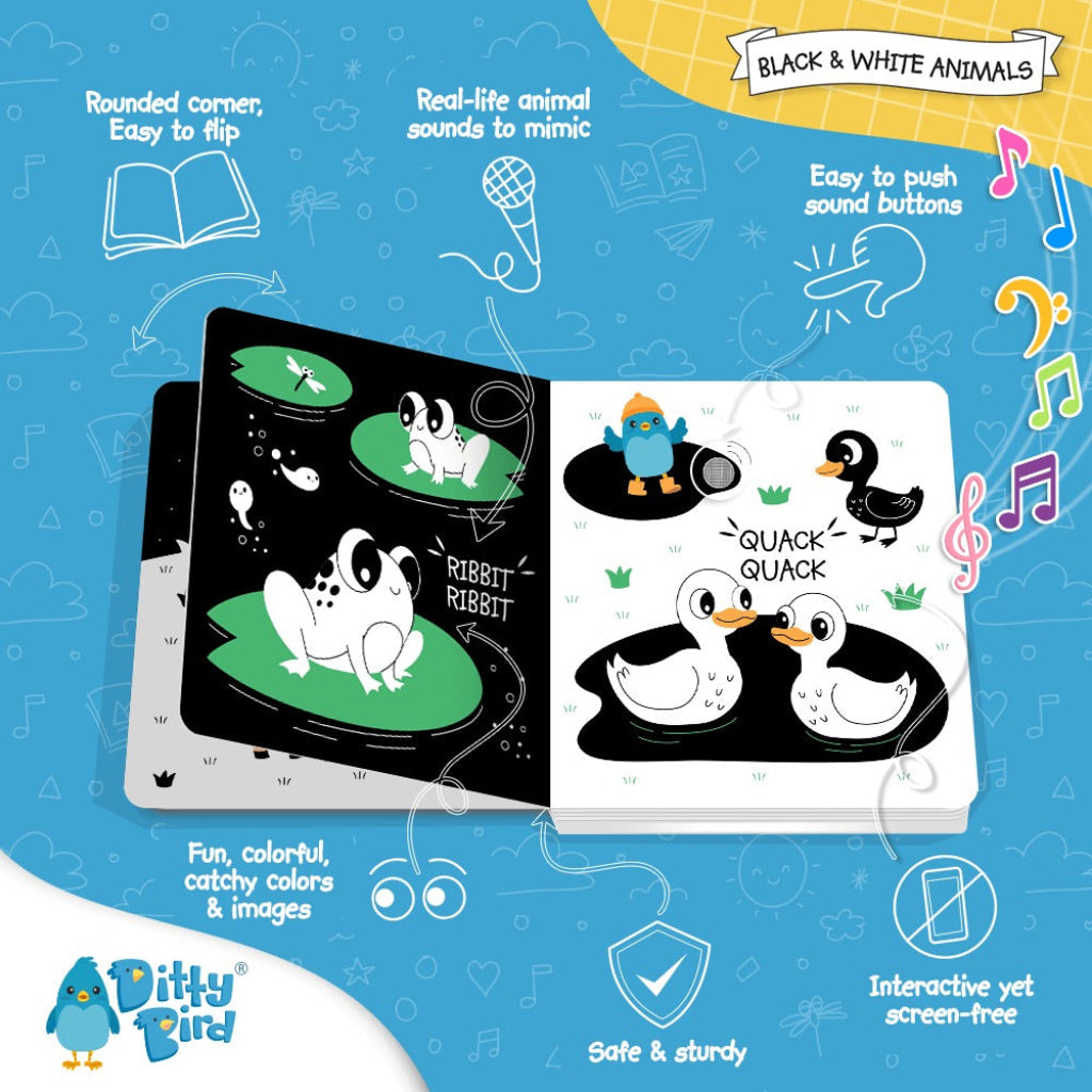 Ditty Bird: Black And White Animals Bird
