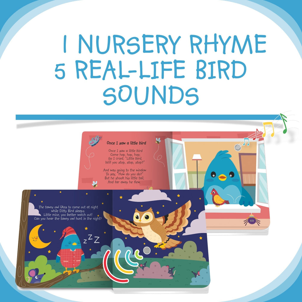 Ditty Bird: Songs
