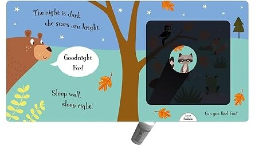 Imagine That - Torchlight Book Goodnight Bear - IMAGINE THAT