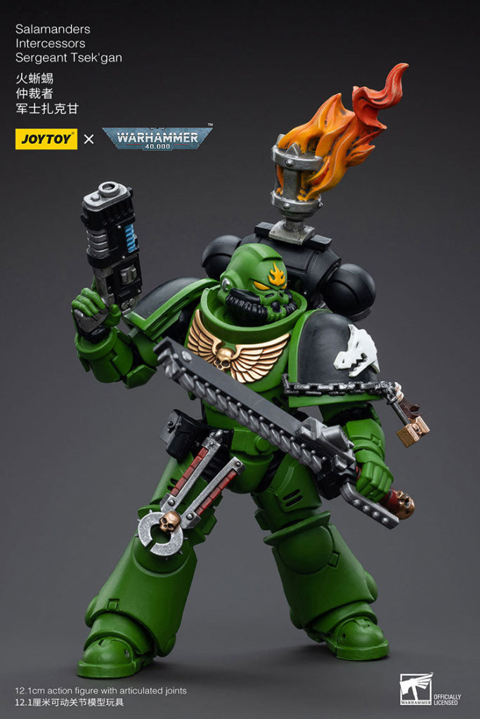 Joytoy Warhammer 40K Salamanders Intercessors Sergeant Tsek’gan Warhammer