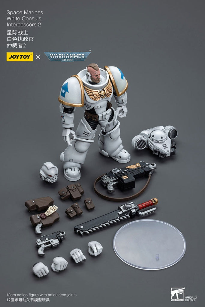 Joytoy Warhammer 40K Space Marines White Consuls Intercessors 2 Jt6854 Warhammer
