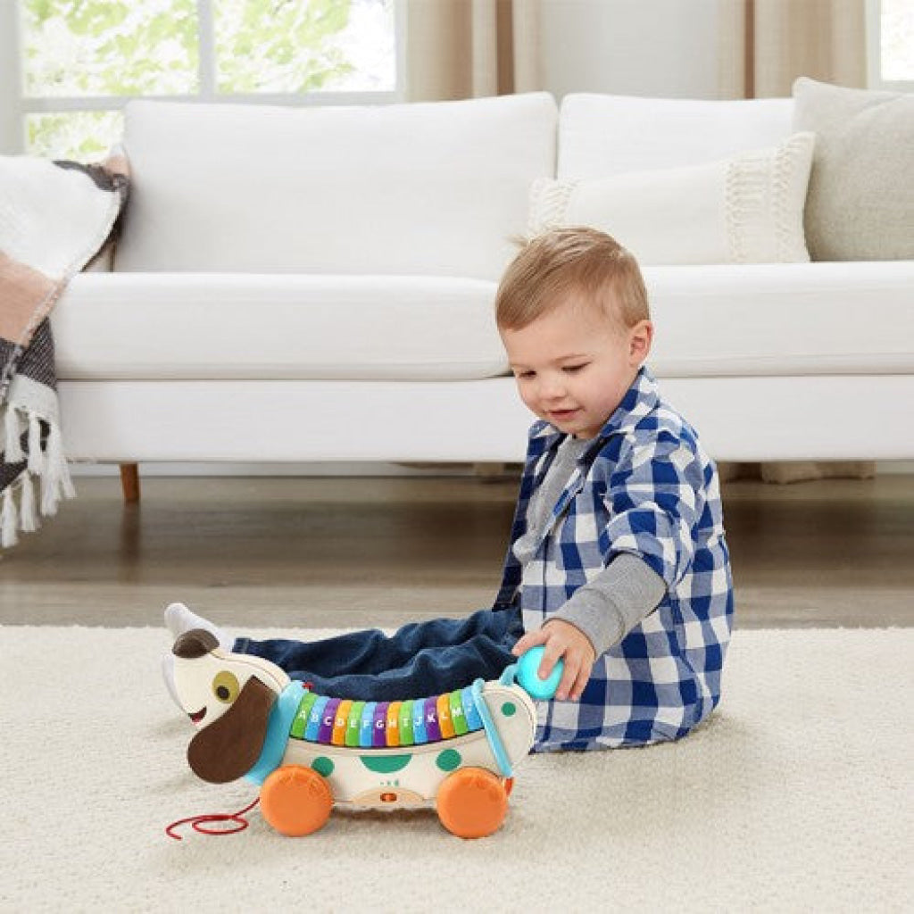 LeapFrog Wooden AlphaPup - LeapFrog