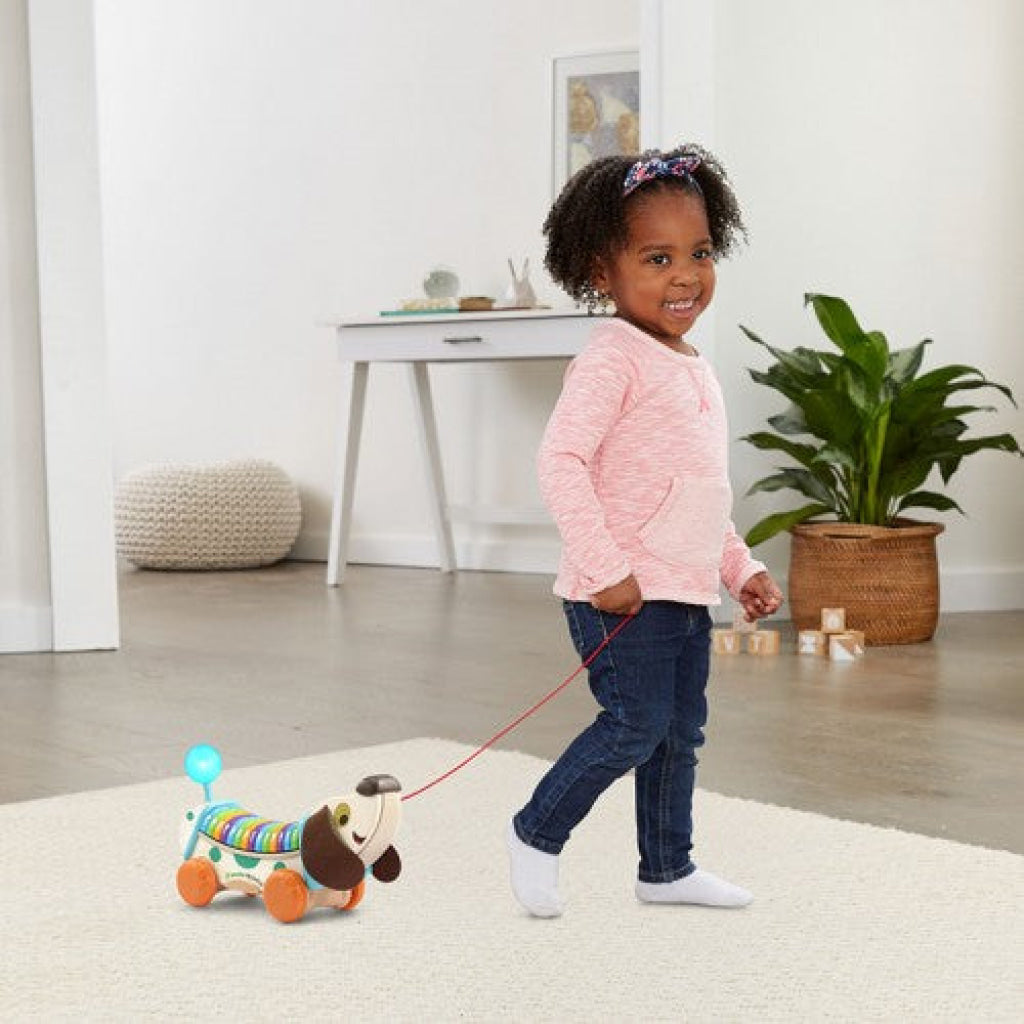 LeapFrog Wooden AlphaPup - LeapFrog