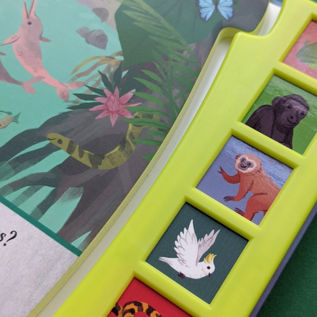 North Parade Nature 6 Button Sound Books Noisy Jungle North Parade