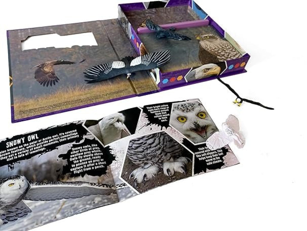 Pocket Explorers: Birds Of Prey Pocket Explorers