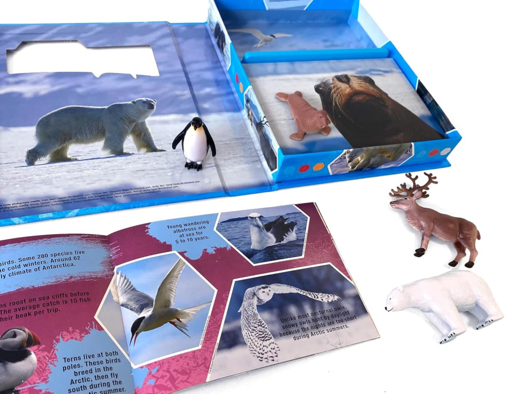 Pocket Explorers: Polar Animals Pocket Explorers