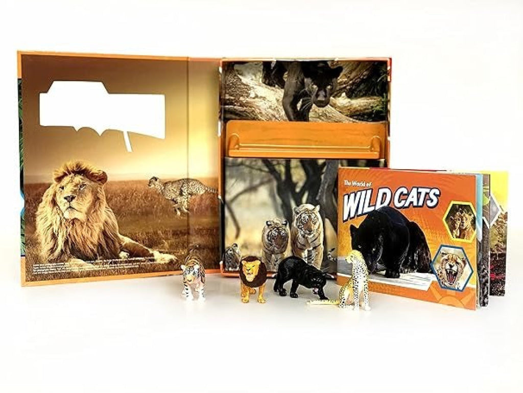 Pocket Explorers: Wildcats Pocket Explorers