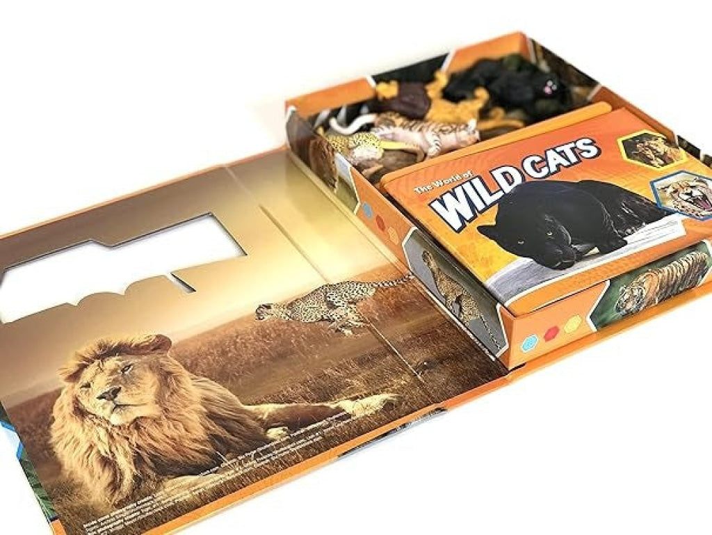 Pocket Explorers: Wildcats Pocket Explorers