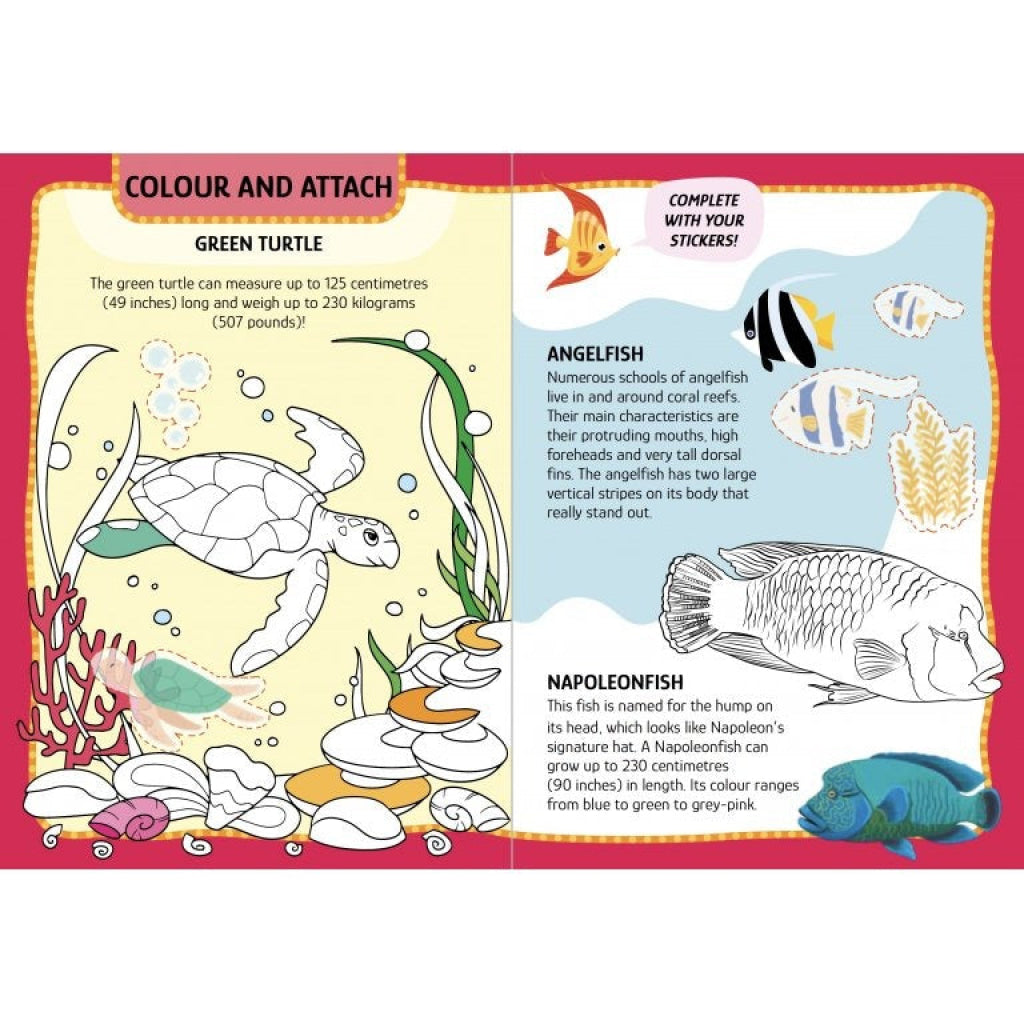 Sassi Arts & Crafts - The Sea SASSI