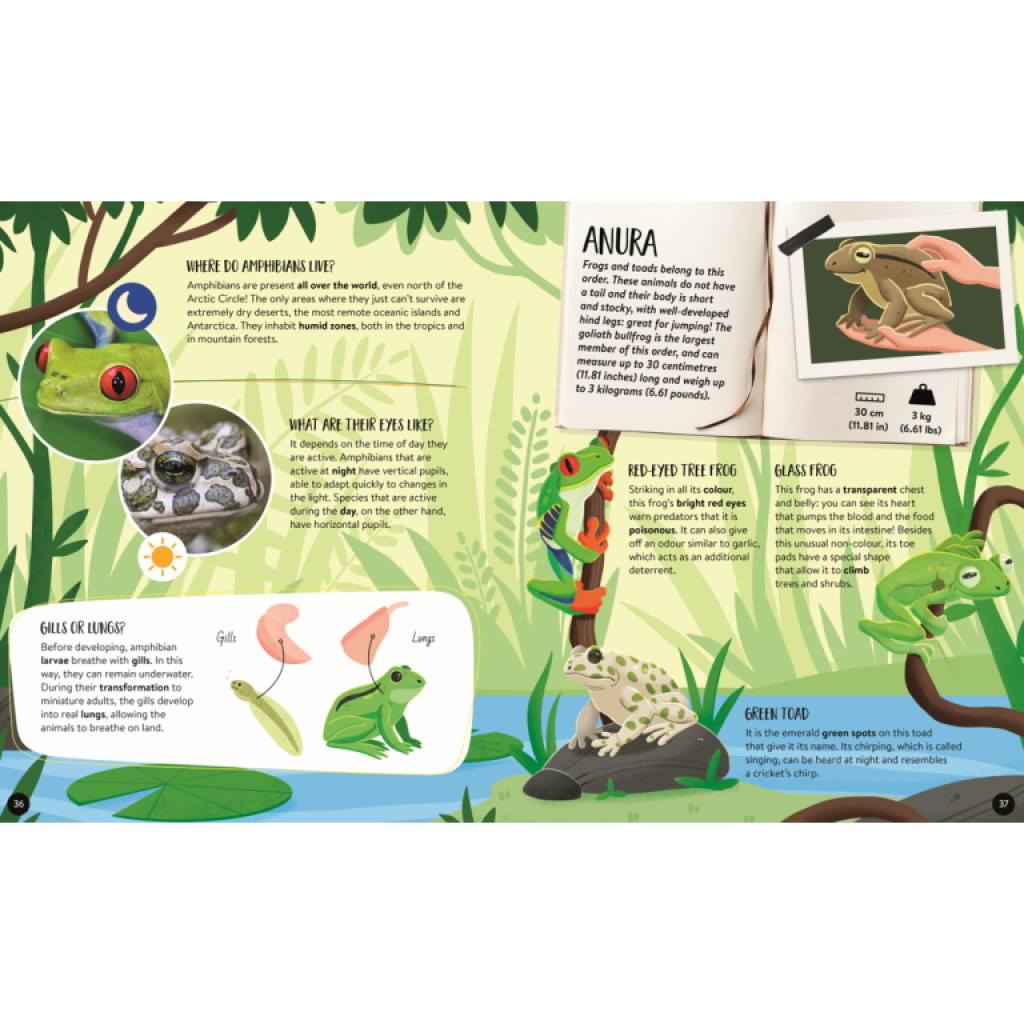 Sassi Mega Atlas: The Ultimate Atlas Animals - SASSI