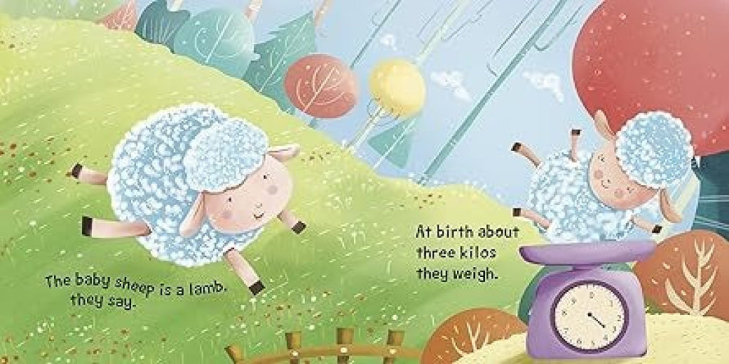 Sound Book Sheep - OM Books