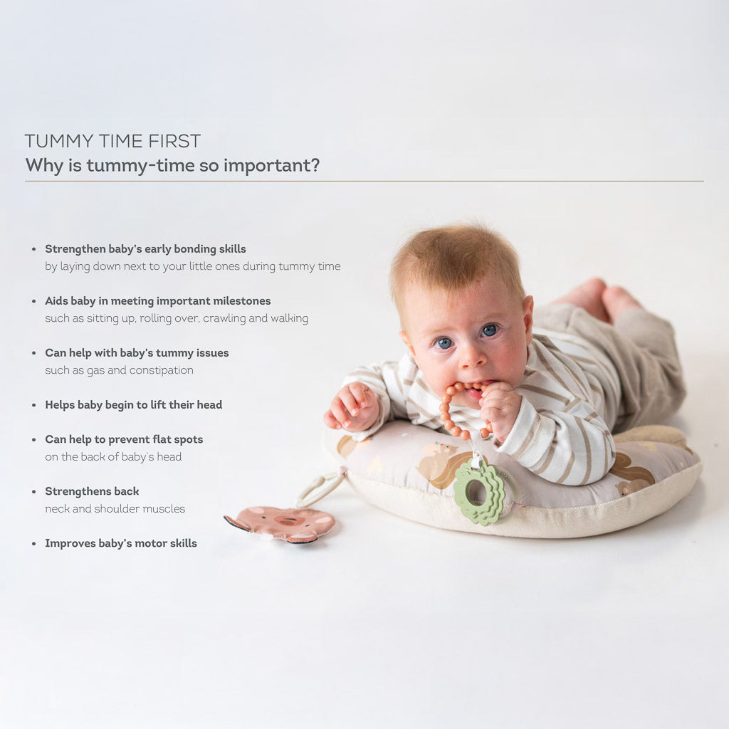 Taf Toys Baby Tummy Time First Pillow - Easier Beginnings