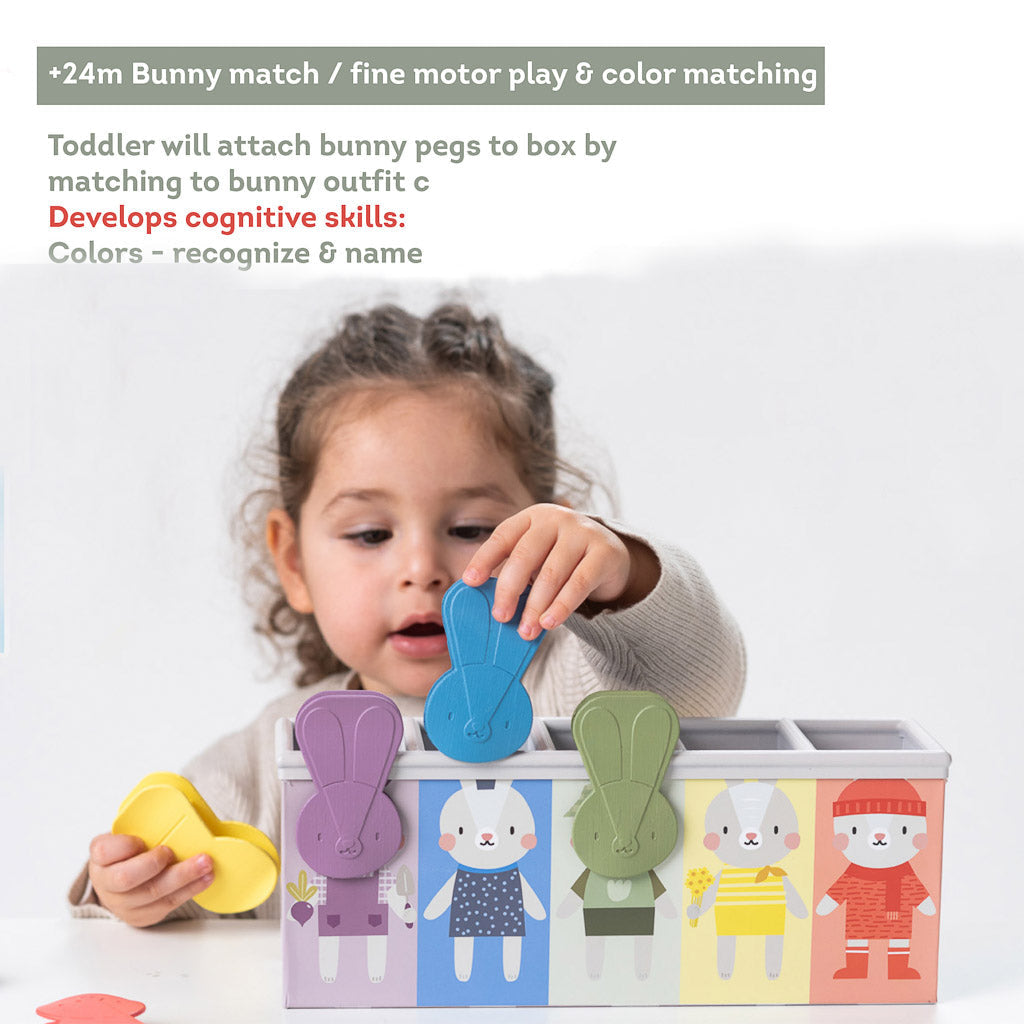 Taf Toys Bunny School Match & Count Toy - Easier Learning