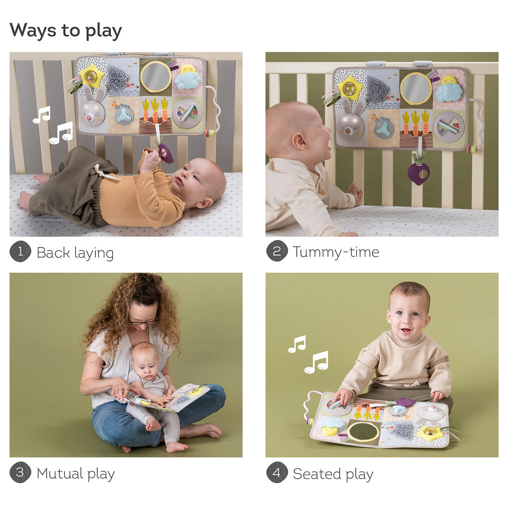 Taf Toys Developmental Activity Center - Easier Development