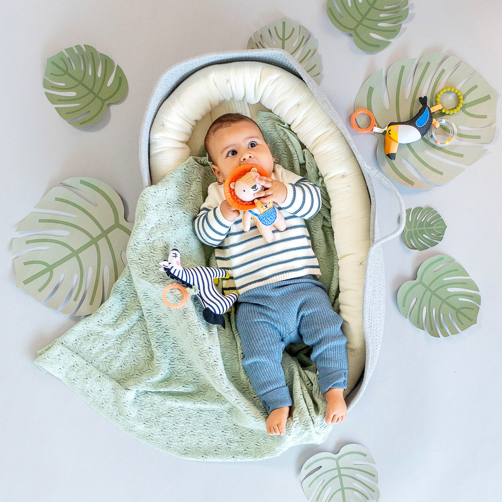Taf Toys Harry the Lion - Easier Development