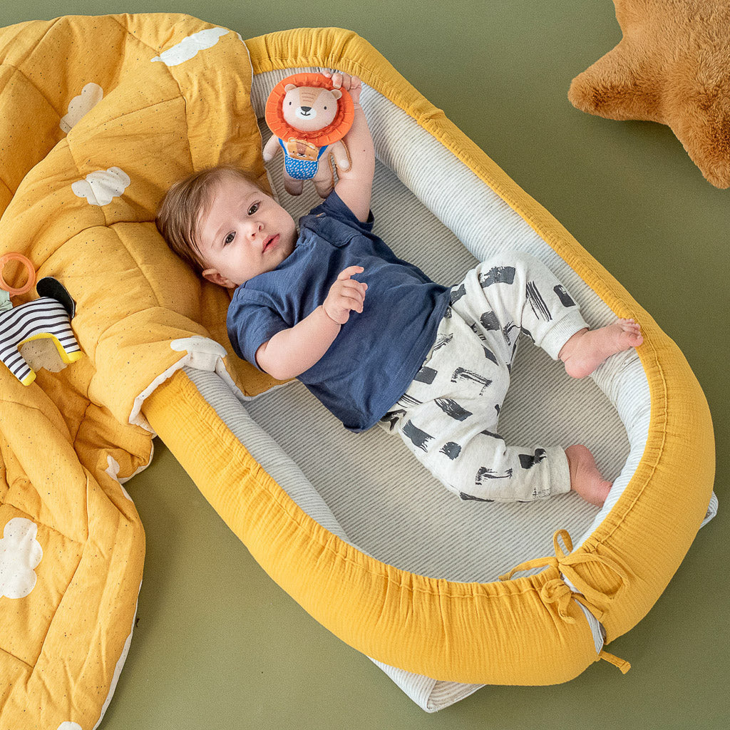 Taf Toys Harry the Lion - Easier Development