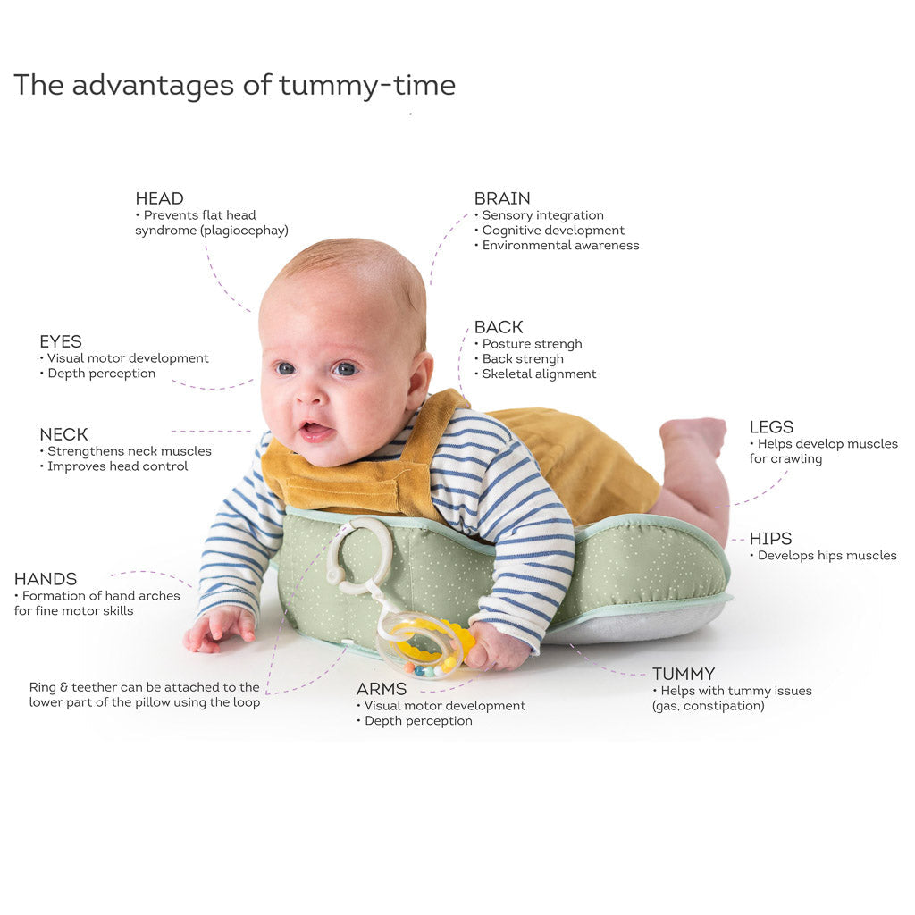 Taf Toys Savannah Tummy-Time Pillow - Easier Development