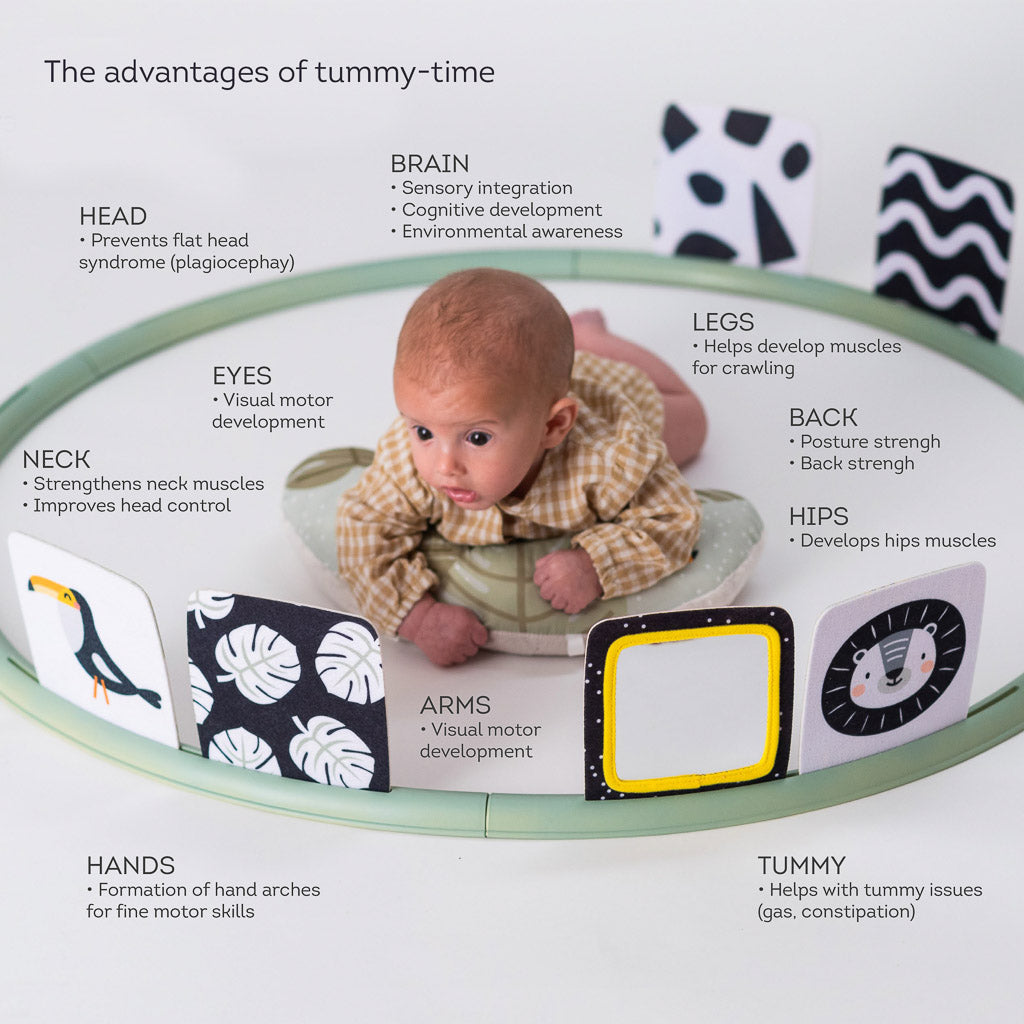 Taf Toys Tummy Time Trainer - Easier Development
