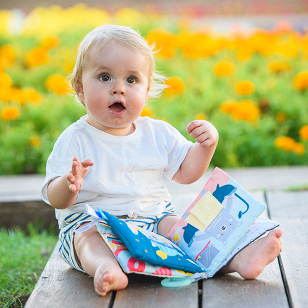 Taf Toys What does Paul Wear Book - Easier Outdoors