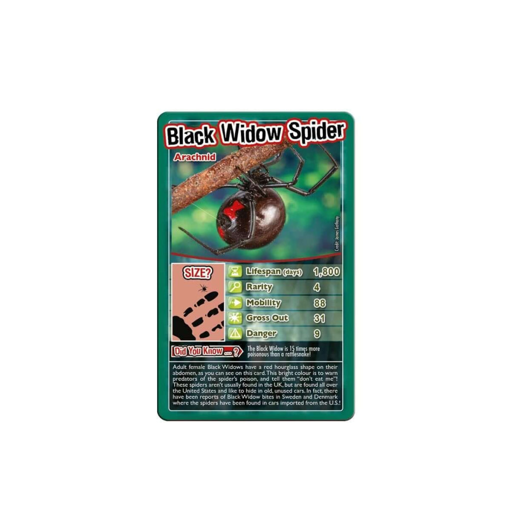 Top Trumps Bugs Card Game