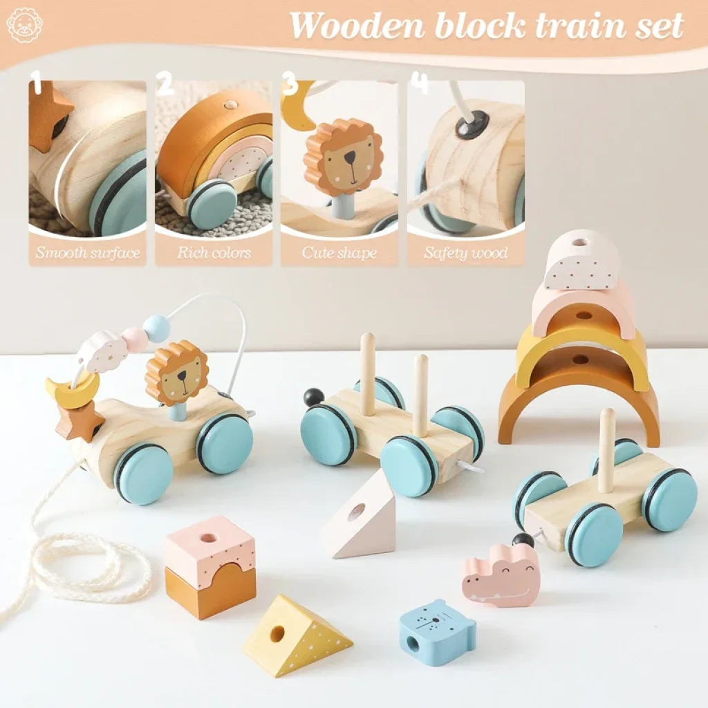 Wooden Rainbow Train