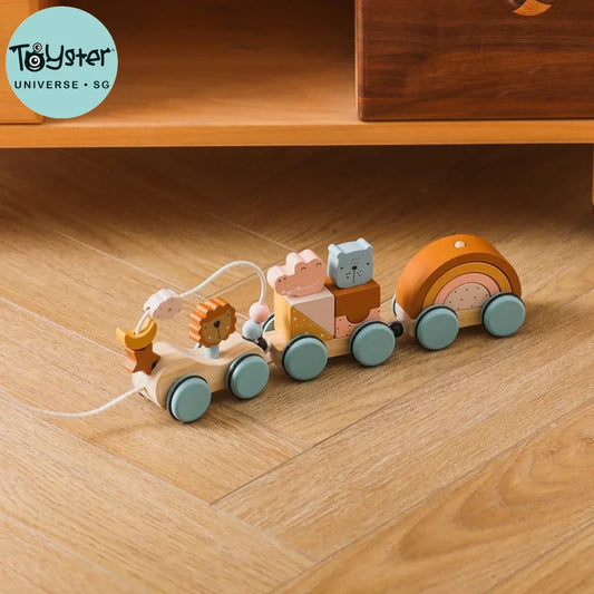 Wooden Rainbow Train